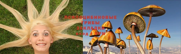 твердый Гусиноозёрск