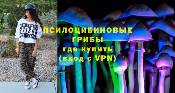 мет Гусев