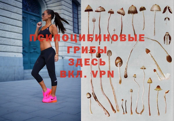 мет Гусев