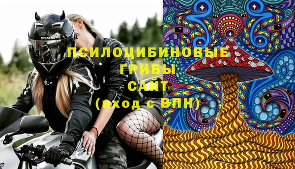 прущая мука Гусь-Хрустальный