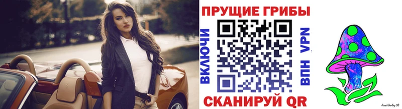 Галлюциногенные грибы Magic Shrooms  Купить закладки  Николаевск 